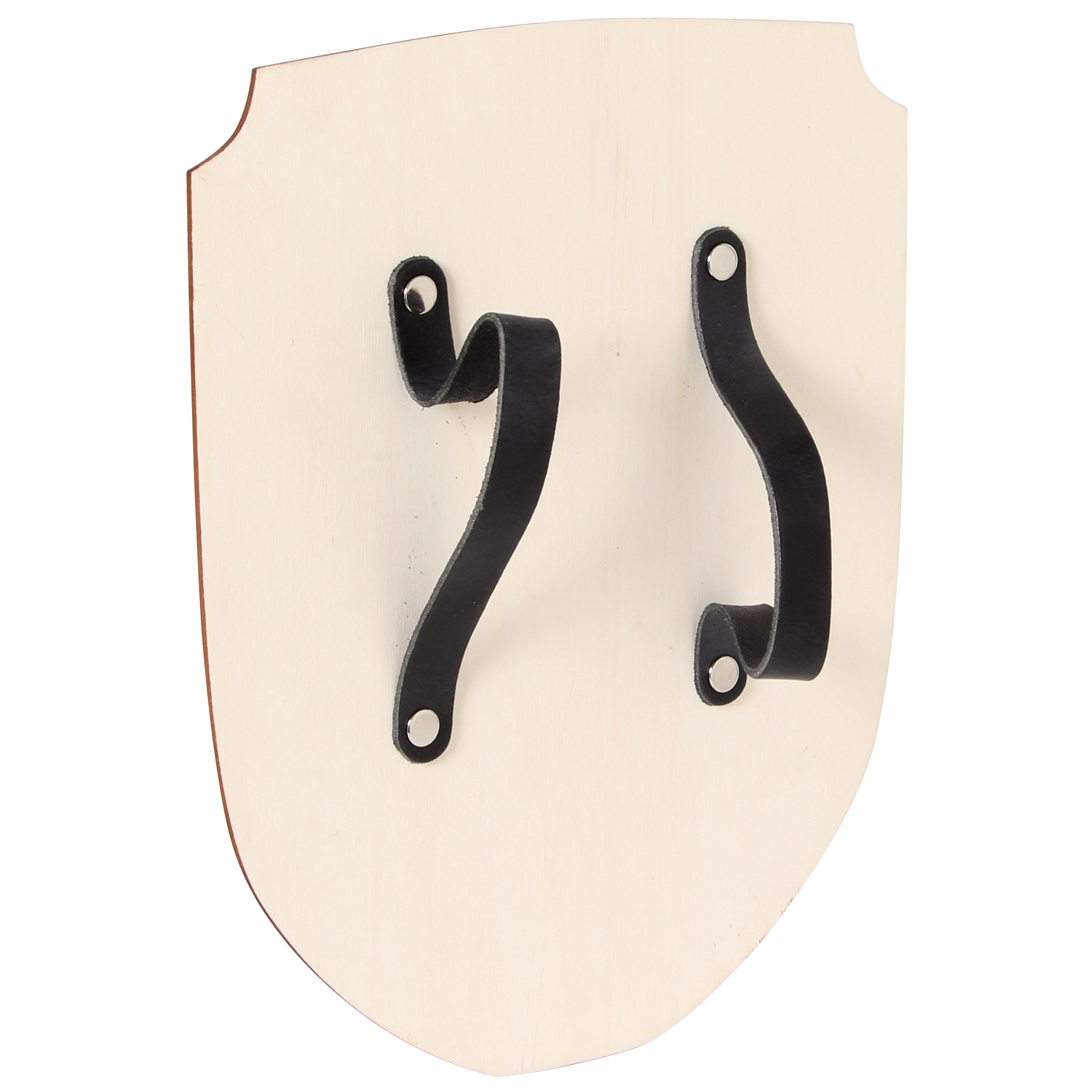 Knight Shield - Dragon