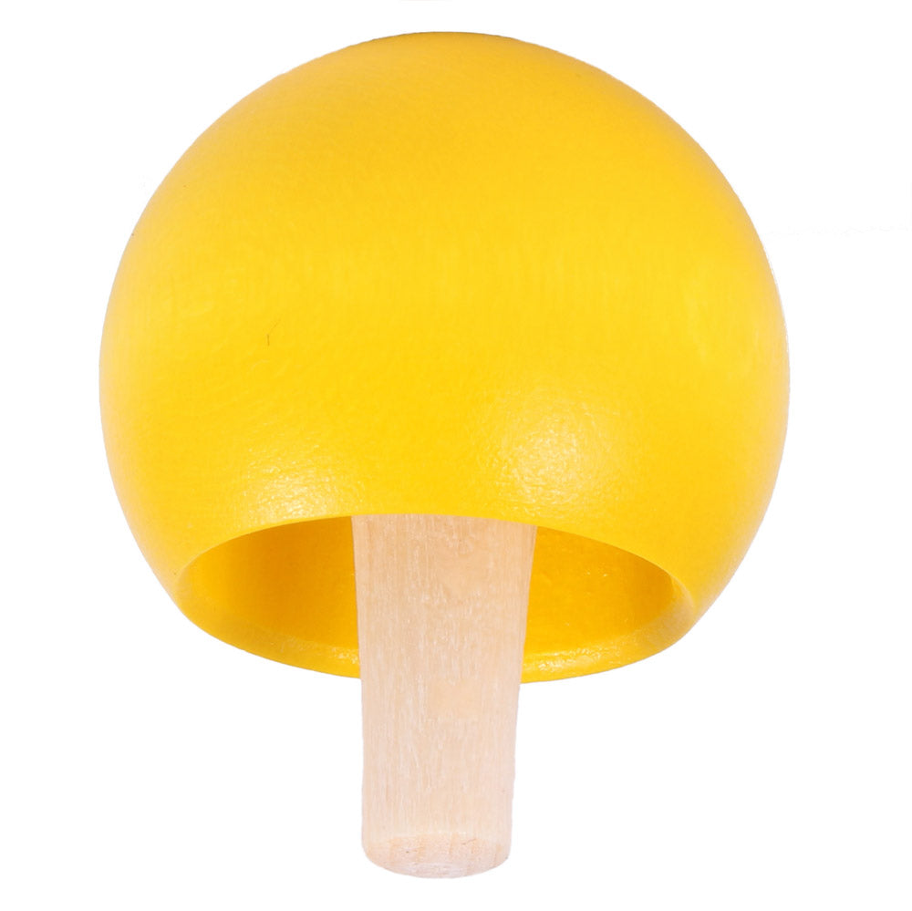 Reversing Spinning Top - Colour