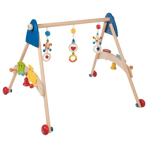 Baby Activity Gym & Walker