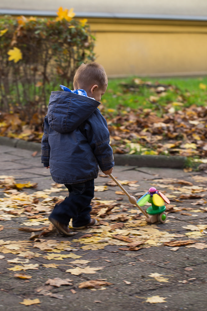 Flower Rainbow - Push Along