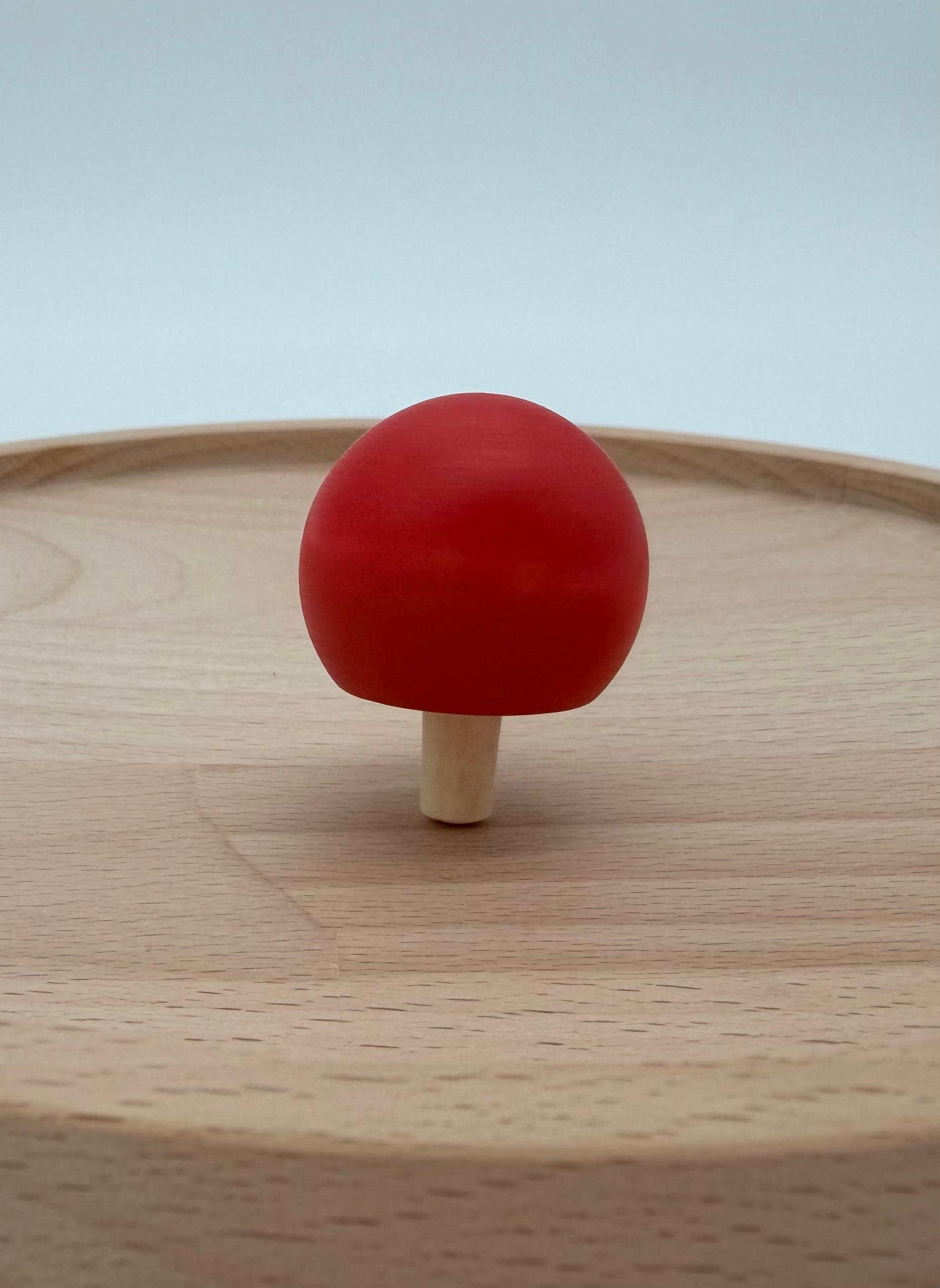 Reversing Spinning Top - Colour